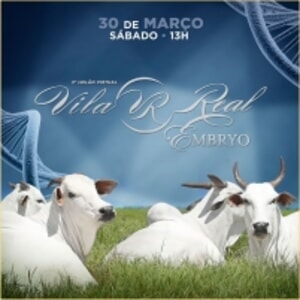 3º Virtual Nelore Vila Real Embryo